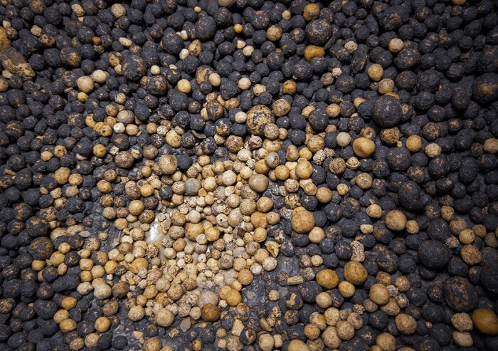 Thế giới diệu kỳ bên trong hang Nà Lả