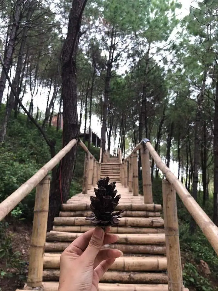 해피 언덕 quang binh