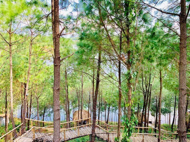 해피 언덕 quang binh