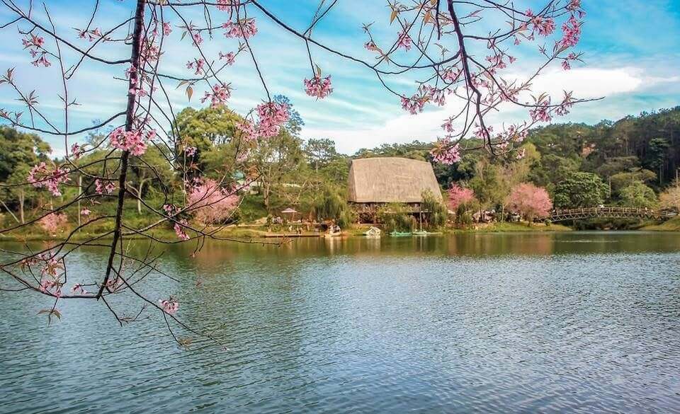 Hồ Đắk Ke là địa điểm tuyệt vời để bạn có thể ngắm hoa đào nở và cảm nhận được vẻ đẹp của Tây Nguyên