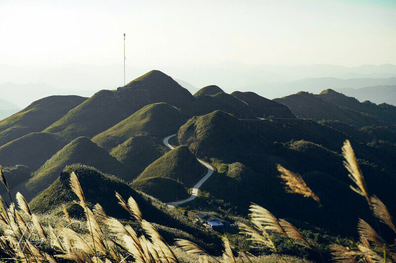 Khu vực cách 100 - 200m trước điểm leo cột mốc 1297, cả khoảng núi phía sau đều nở trắng lau.