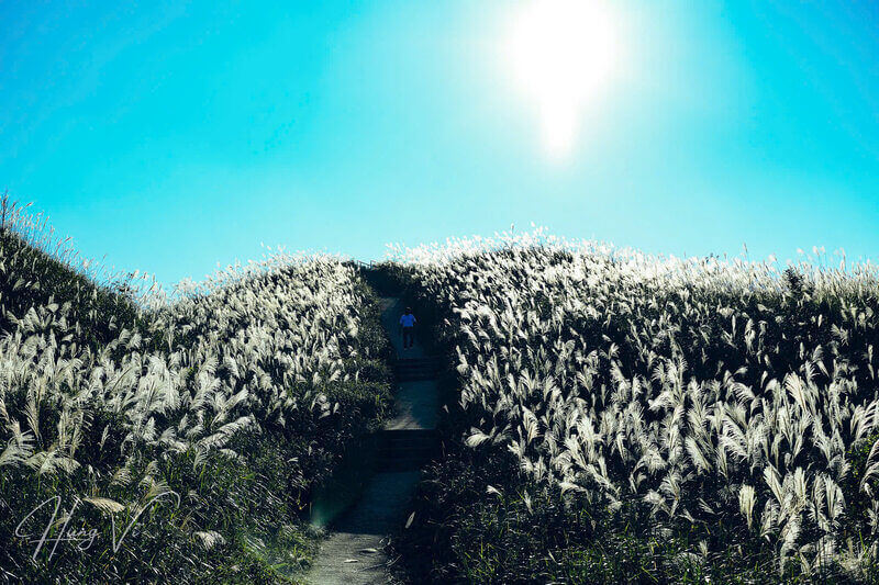 Đường lên cột mốc doạn dốc cao đã được làm thành các bậc tam cấp