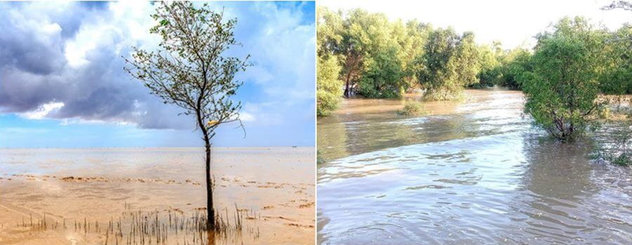 Soc Trangから43km、Mo o Beachは、Mo o mo xu dongのようなビーチの形からの名前の手付かずの美しさを持っています