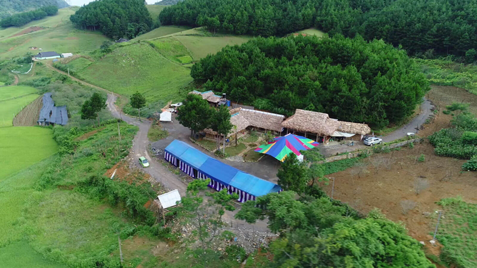 Rừng thông nằm dọc tuyến Quốc Lộ 6, huyện Vân Hồ, tỉnh Sơn La.