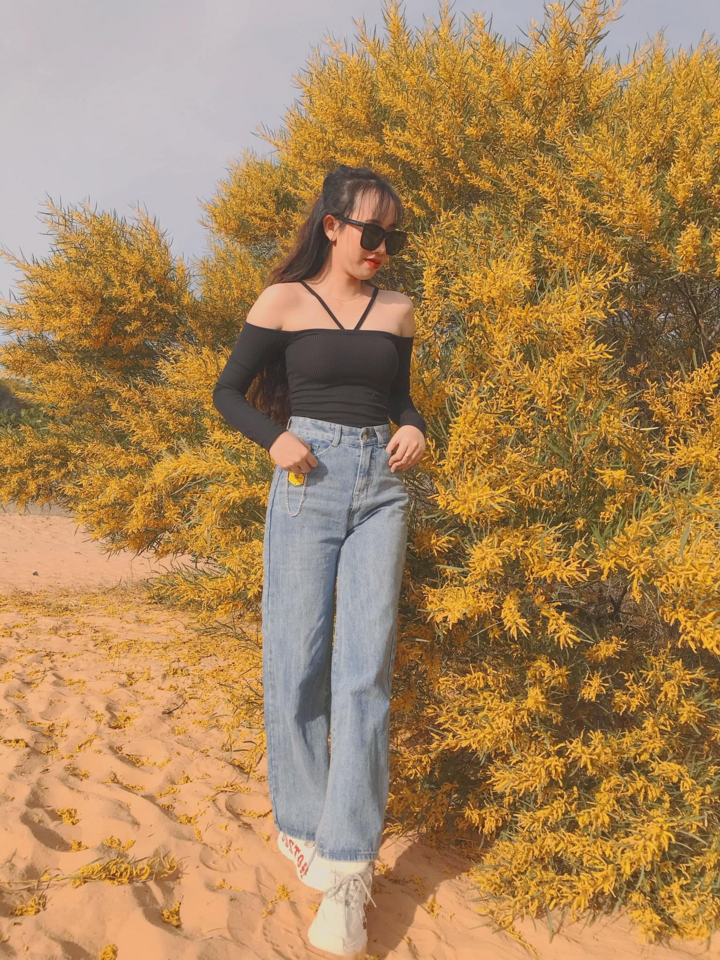 Rừng Keo Lá Tràm