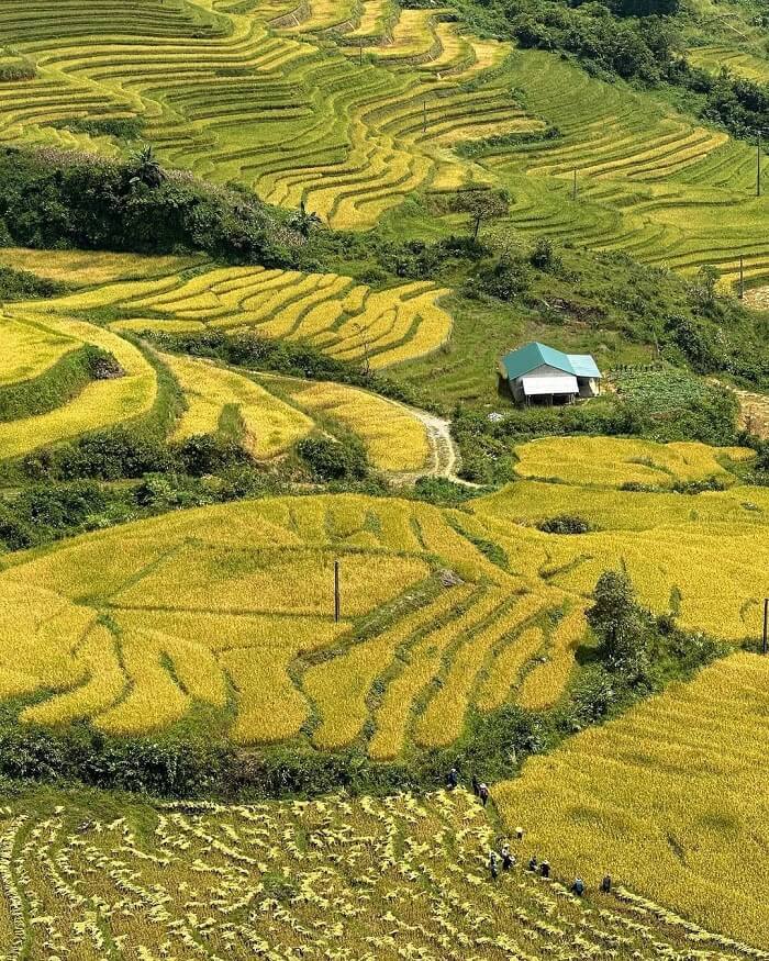 Thời gian qua ngày càng có nhiều khách du lịch khám phá Bản Xèo Bát Xát – một xã có địa hình phức tạp, cách trung tâm huyện Bát Xát khoảng 14 km.