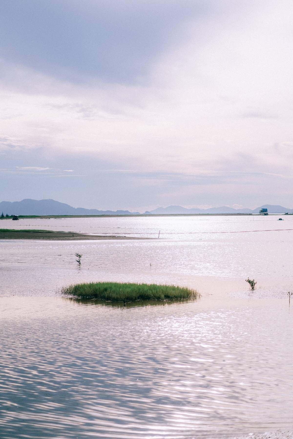 Bãi biển Cồn Nổi