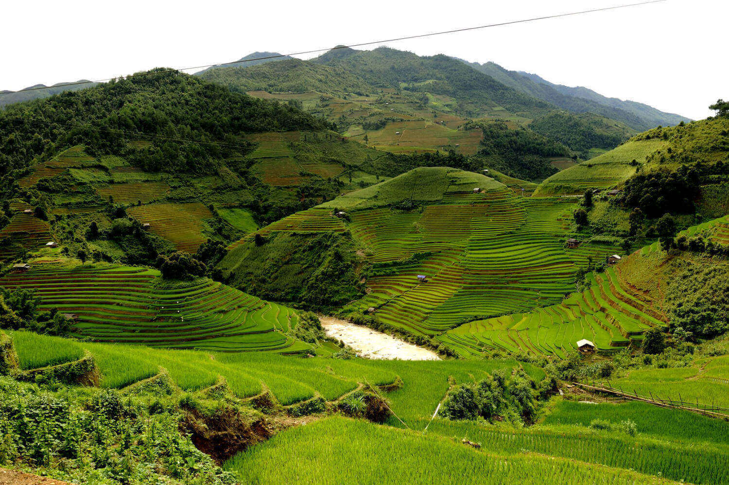 Zi Xu Phai의 계단식 분야