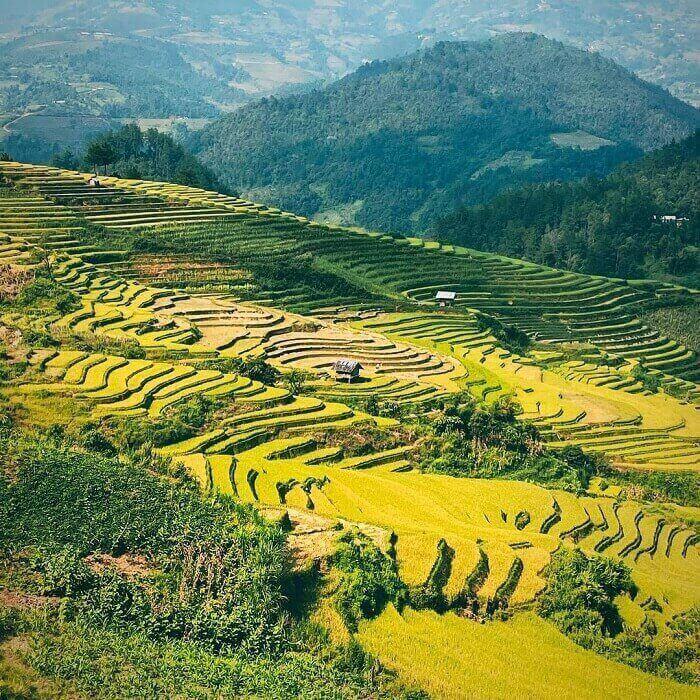 Zi Xu Phai의 계단식 분야