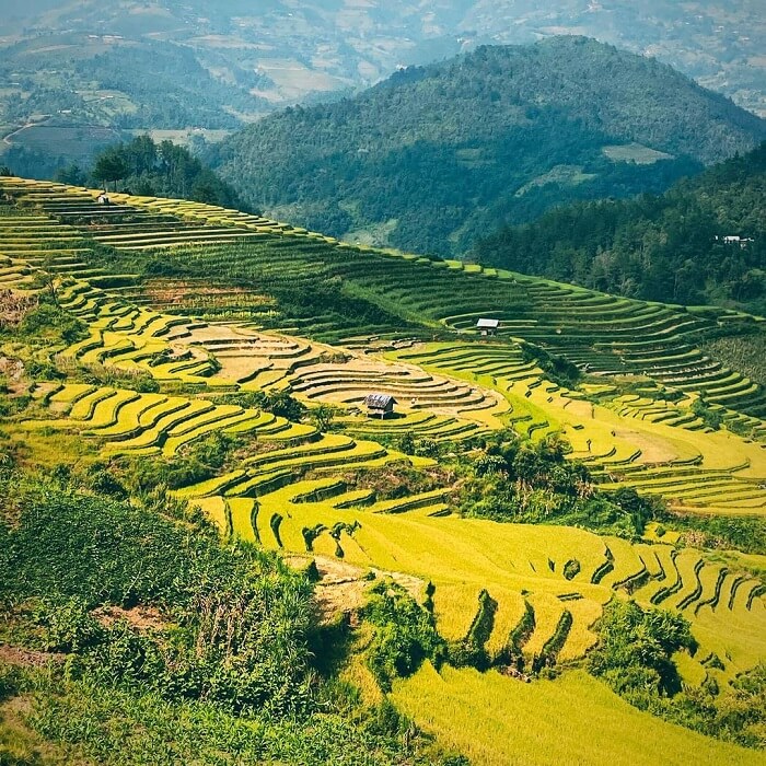 Ruộng bậc thang xã Zế Xu Phình