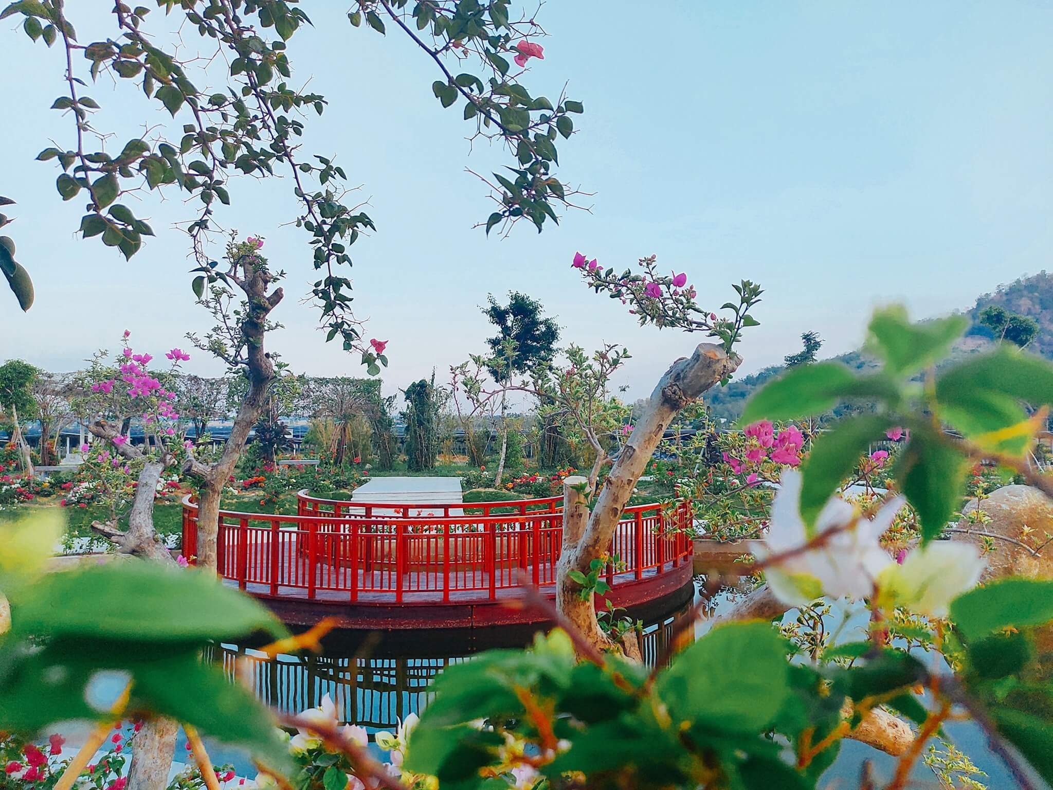 詩的な自然の美しさを持つホー・ティエン・キャヌは間違いなく運用フェスティバルが無視できないバックグラウンドチェックインになるでしょう