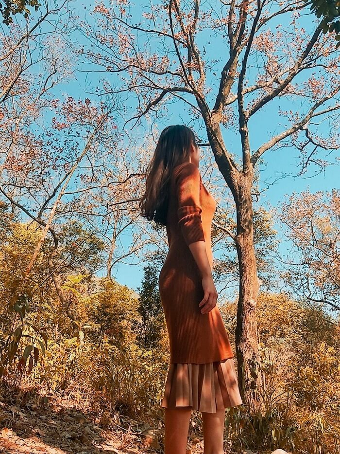 Cây phong mọc rải rác khắp dãy núi Tam Ban, tạo nên phong cảnh đẹp, nhất là vào cuối mùa thu sang đến mùa đông, khi những tán lá chuyển màu.