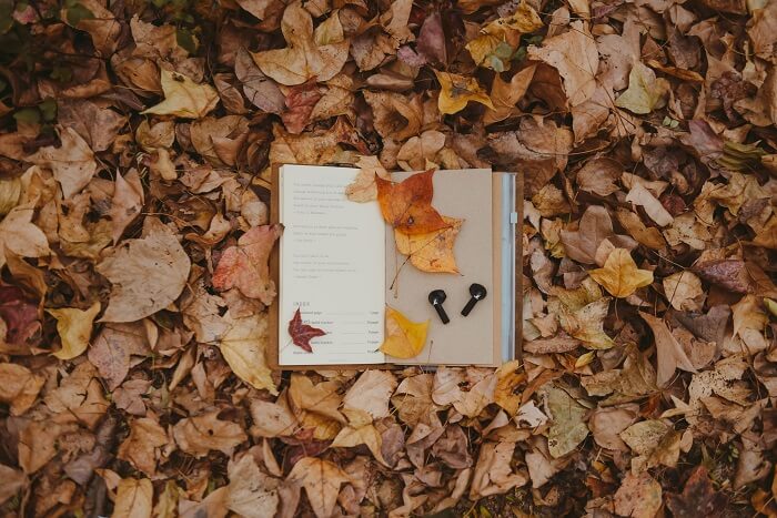 Và đẹp hơn cả là khoảng thời gian lá phong chuyển màu, từ những tán lá xanh ngả vàng, rồi chuyển sang màu đỏ