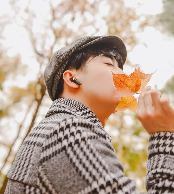 빨간 메이플 숲 - Thanh Mai Pagoda