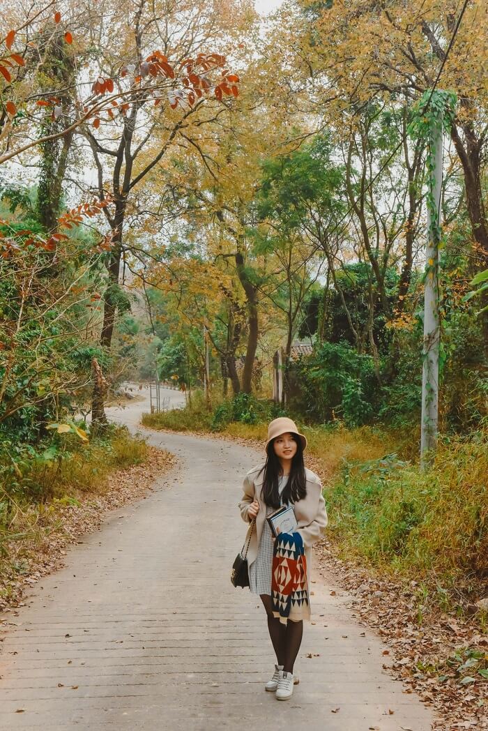 빨간 메이플 숲 - Thanh Mai Pagoda