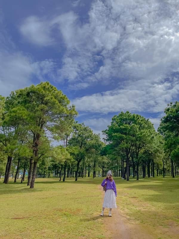 이것은 매우 낭만적 인 풍경, 신선한 공기를 가진 도시의 녹색 폐와 같습니다.