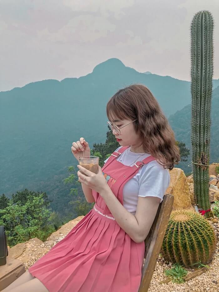 Lala Land Tam Đảo