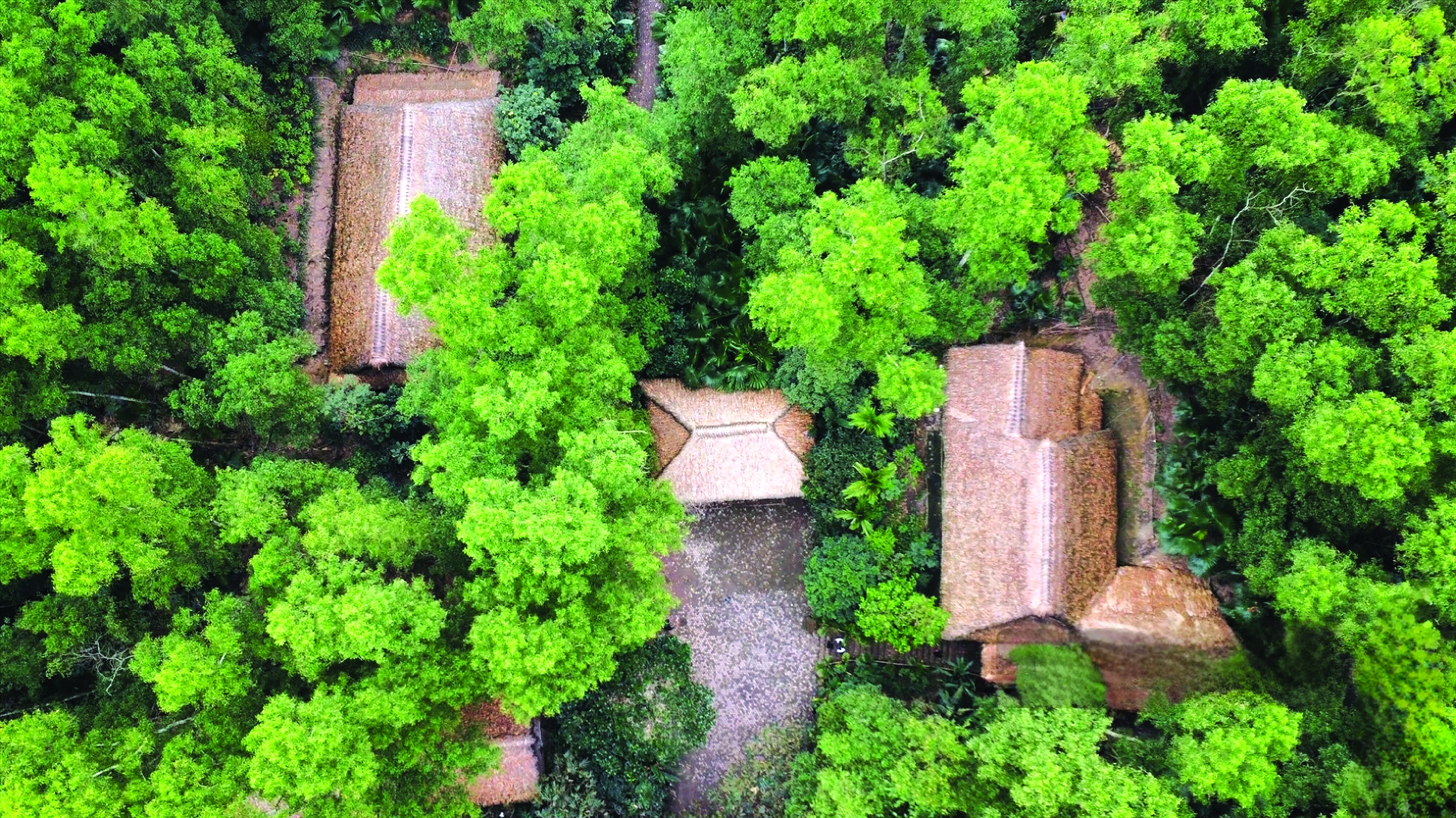 生態学的な村は、タイ・ヌグエンへの旅行のユニークな目的地です。