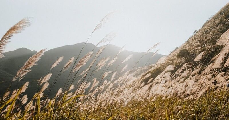 Với cảnh quan thiên nhiên hùng vĩ và hoang sơ, mỗi góc nhìn tại đây đều có thể trở thành một bức ảnh hoàn hảo.