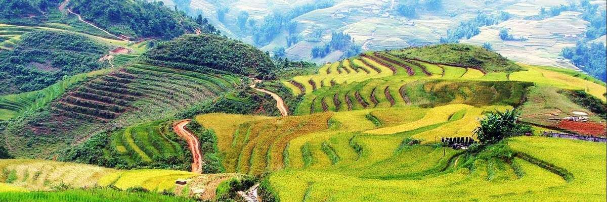 Với khí trời mát mẻ, đôi lúc có nắng vàng soi chiếu, bản làng này nổi bật giữa thiên nhiên núi rừng bao la ở Sapa.