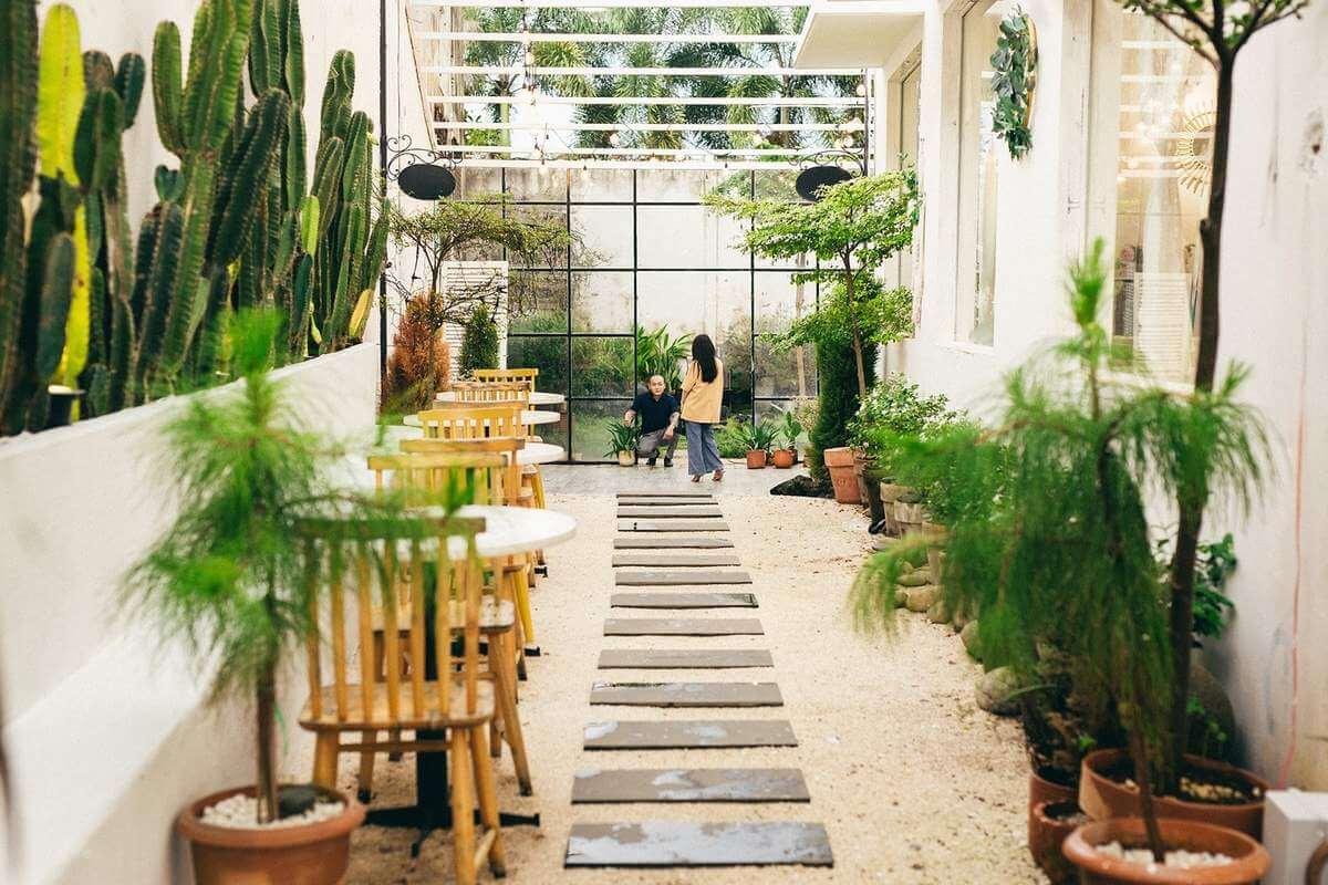 白い壁とまっすぐなサボテンの列とサボテンの列には、地中海の海を思い浮かべさせます