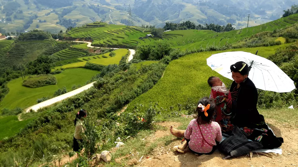 Ruộng lúa chín vàng bao quanh những nếp nhà nhỏ yên bình ở Bản Xèo.