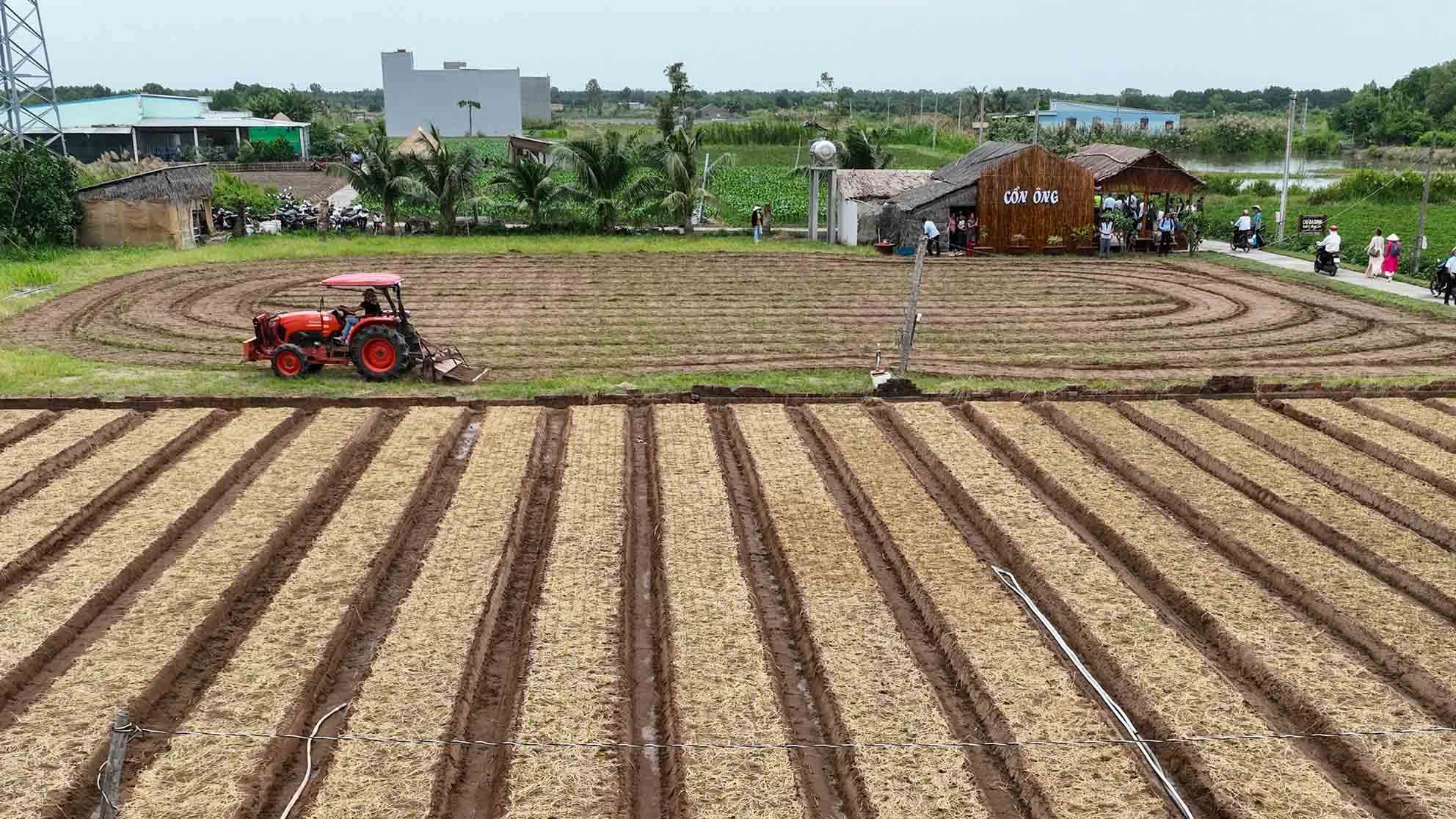 Tra Vinh氏はDuyen Haiの町のDan Thanh Commeneの領土にあり、自然の地域は1,000ヘクタールを超えています