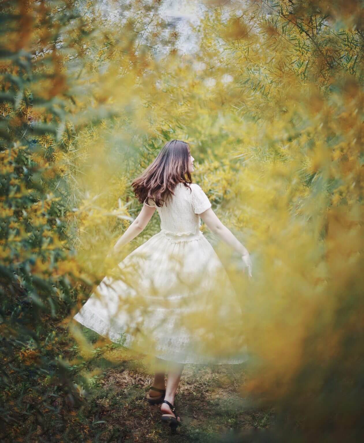 Rừng Keo Lá Tràm