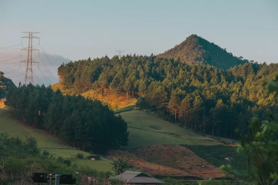 Rừng thông Hua Tạt rộng hàng chục ha với rất nhiều rặng thông xanh cao lớn, vẽ nên một bức tranh nên thơ, thích hợp để du khách đến cắm trại, picnic.