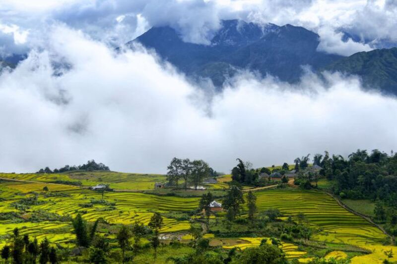 Rừng thông Hua Tạt – tọa độ gây sốt vì không gian quá chill ở Sơn La