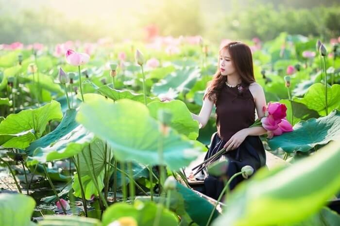 トラリのロータスシーズンは4月頃に始まり、毎年7月まで続きます。