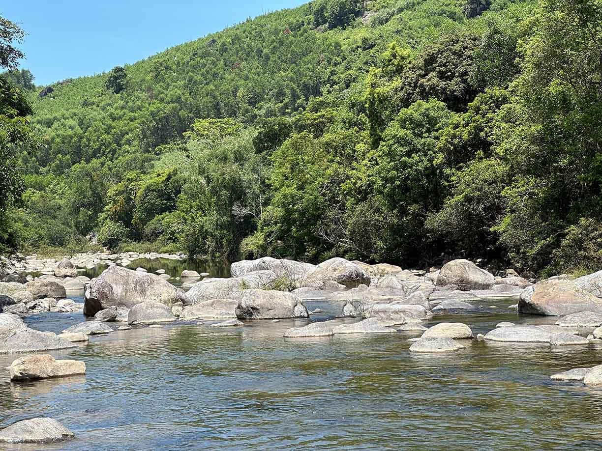 TRA FORTUNE -텔링 스트림