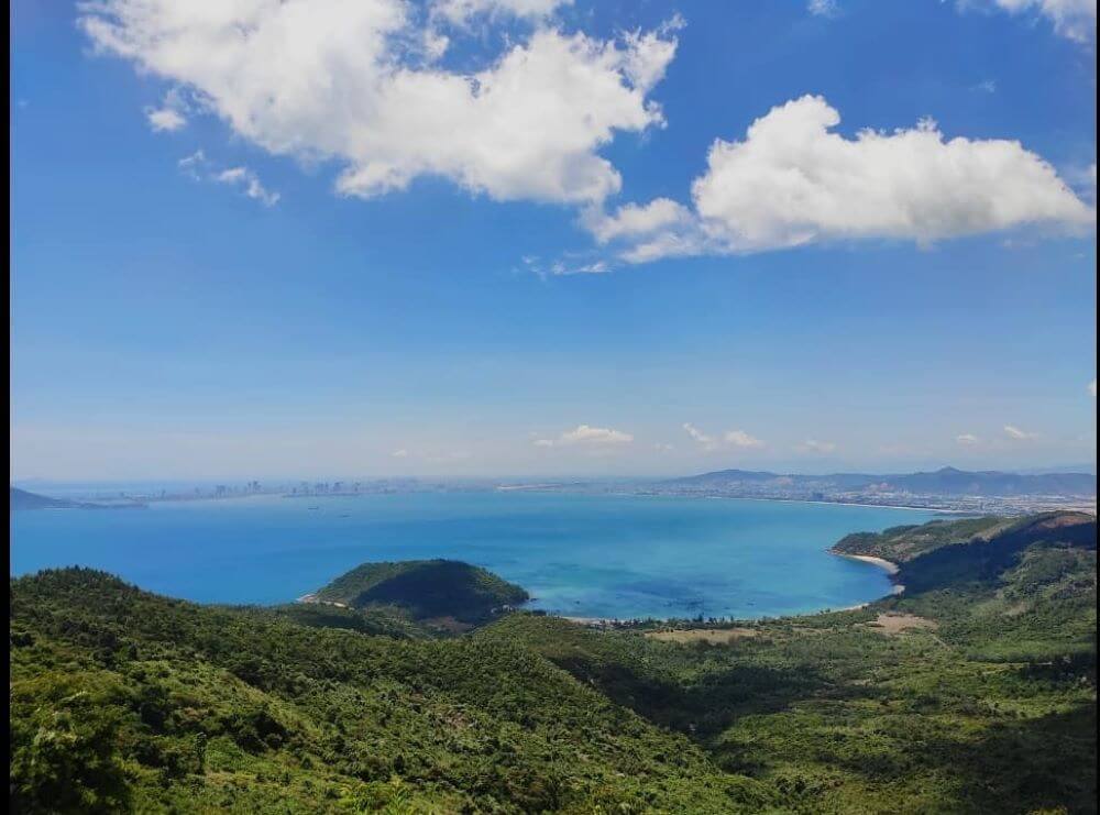 広大な原始林は、ホンソンチャを取り囲んでいます。