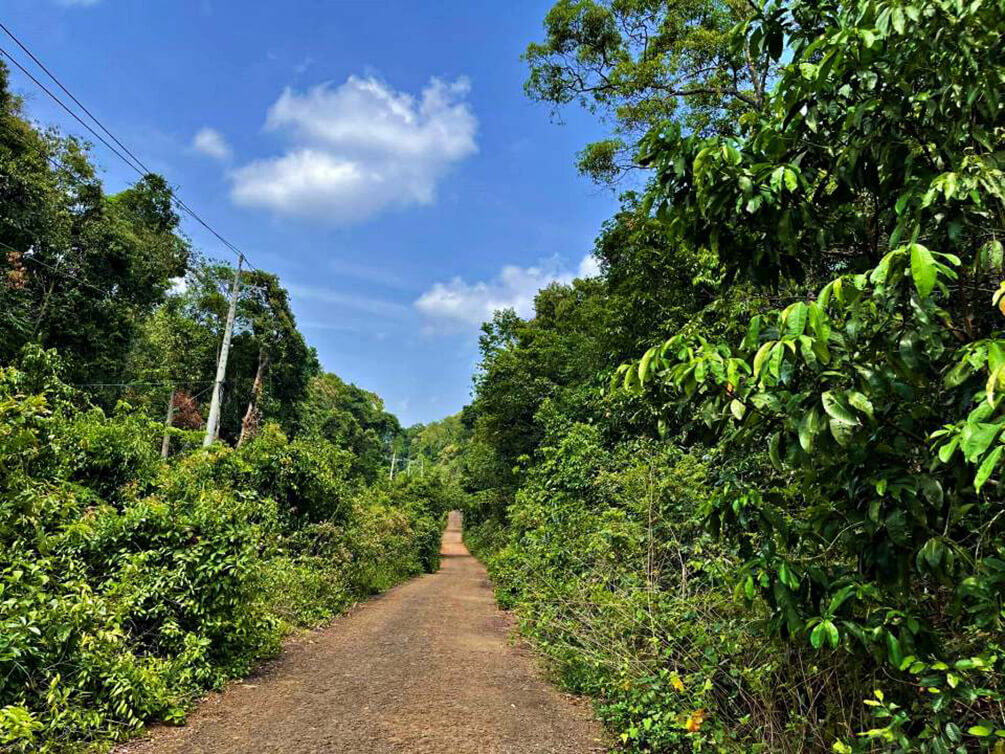 Thác Voi Bù Đăng