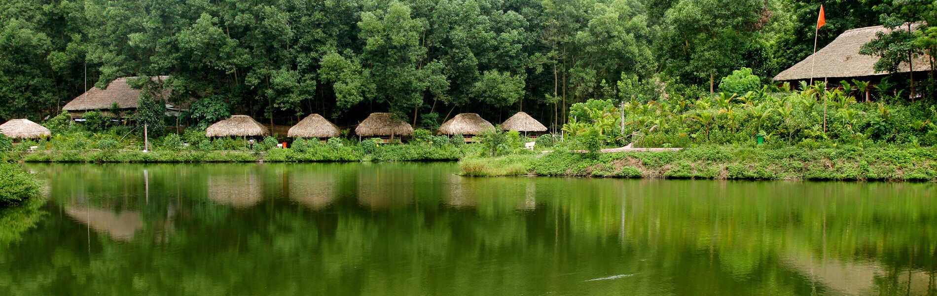 タイハイエコ - ツーリズムビレッジリザーブは、70ヘクタール以上の丘や植物のスペースにあります。