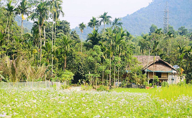 Những nếp nhà sản ẩn hiện trong thiên nhiên hữu tình