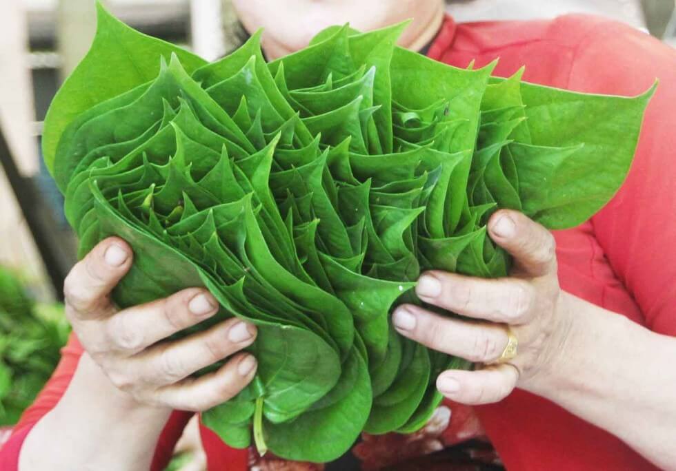 典型的なスパイシーな風味のキンマットは、常に多くの人が好む選択です。