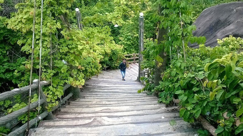トレッキングは彼の山のピークを征服してすぐに美しい景色を賞賛しました