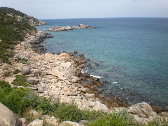 바다 고양이 티엔