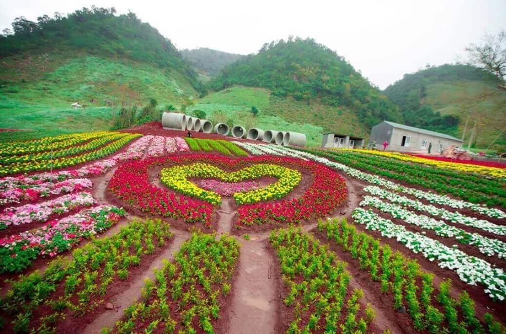 Vườn Hoa Nhiệt Đới Mộc Châu