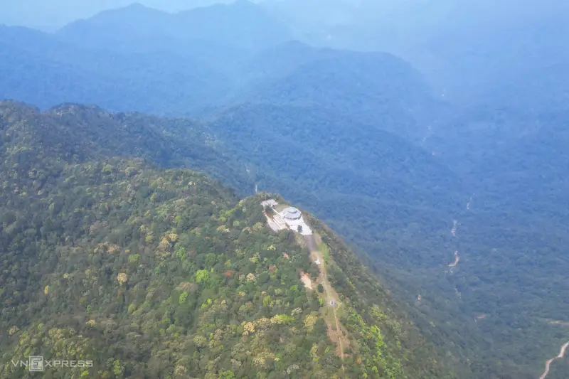 Ngắm Hoa Đỗ Quyên – Món Quà Mùa Xuân Tại Đỉnh Bạch Mã