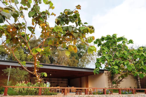 Lạc Vào Chốn Yên An Ở Huế: Trải Nghiệm Ấm Áp Tại Vả Riverside Retreat