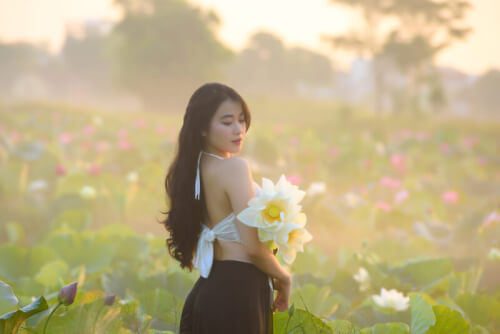 Mùa Sen Ở Huế: Bình Yên Len Lỏi Từng Khoảnh Khắc Ở Bàu Vá