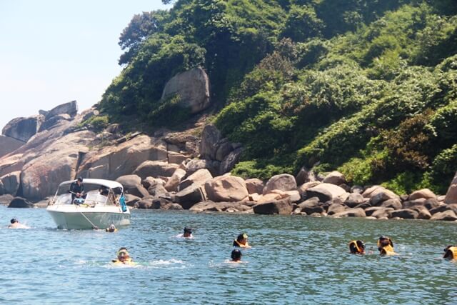 Lặn Biển Ngắm San Hô: Trải Nghiệm Khó Quên Tại Sơn Chà