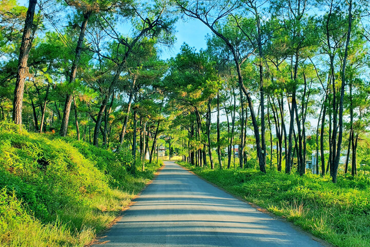 Đồi Thiên An: Khám Phá Không Gian Thanh Tịnh, Lãng Mạn Của Huế