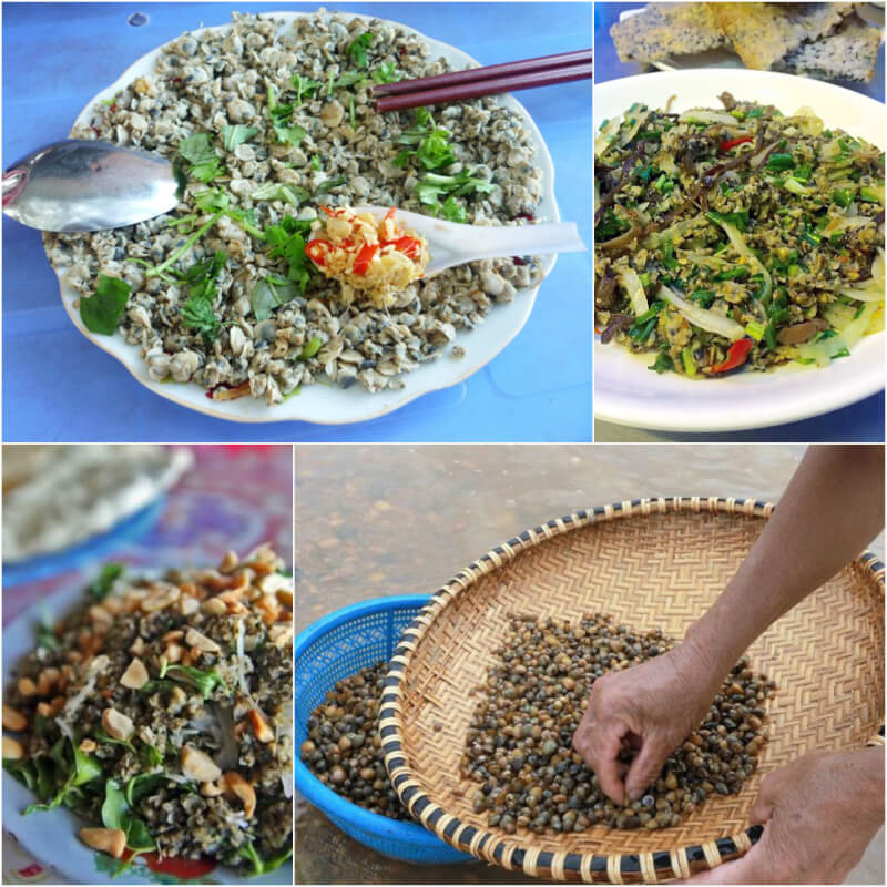 Chắt chắt sông Gianh - Món ăn mang đậm hồn quê Quảng Bình