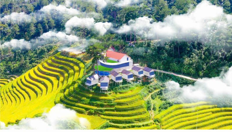 Sống khủng long homestay