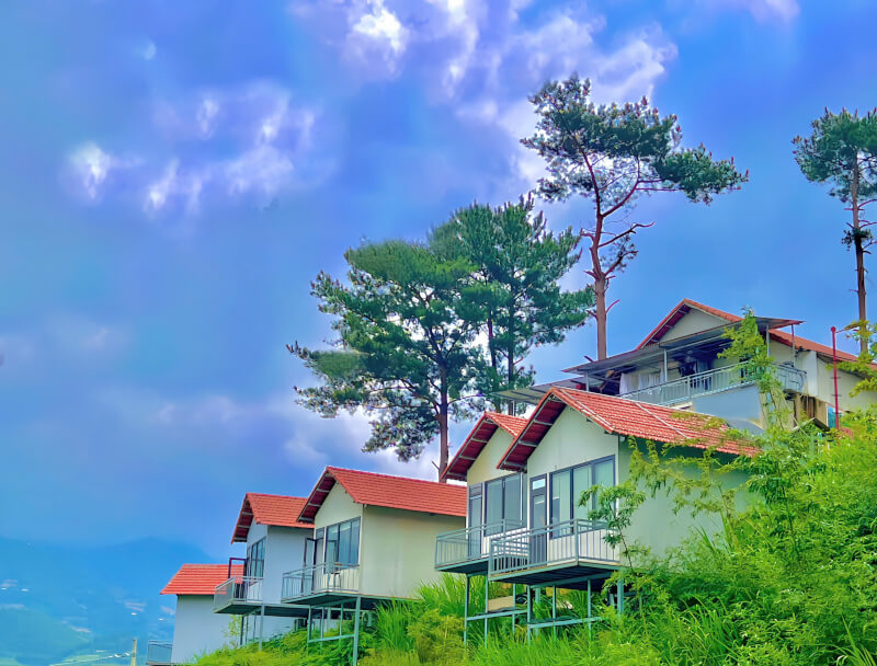 Sống khủng long homestay