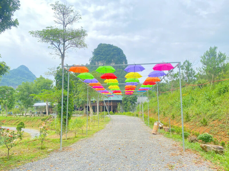 Thien Trang Dlstエリア