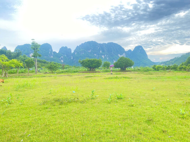 Thien Trang Dlstエリア